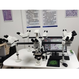 交大二附院十人共览